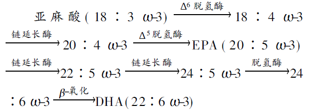 圖片13.png