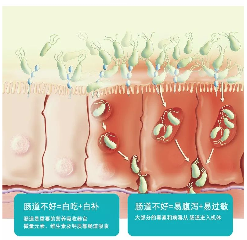 圖片7.png