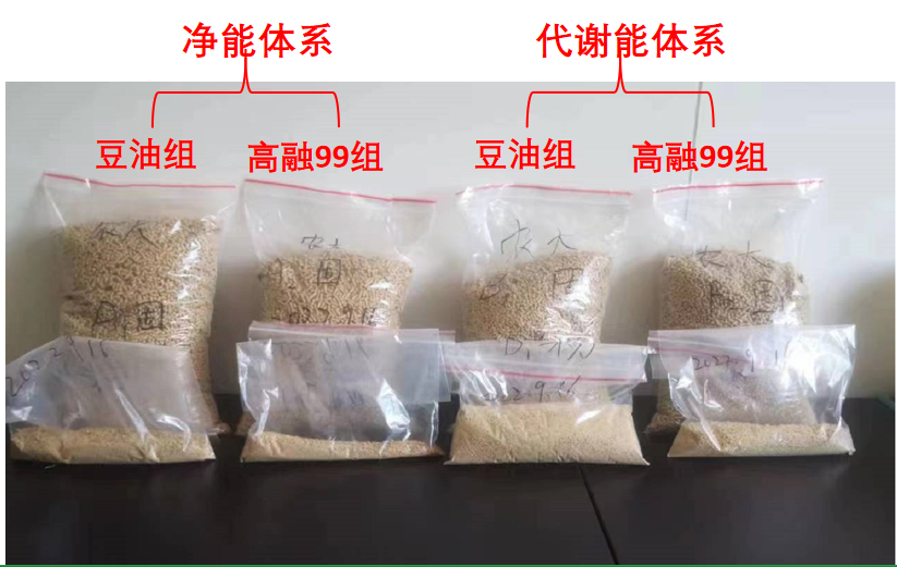 圖片5.png